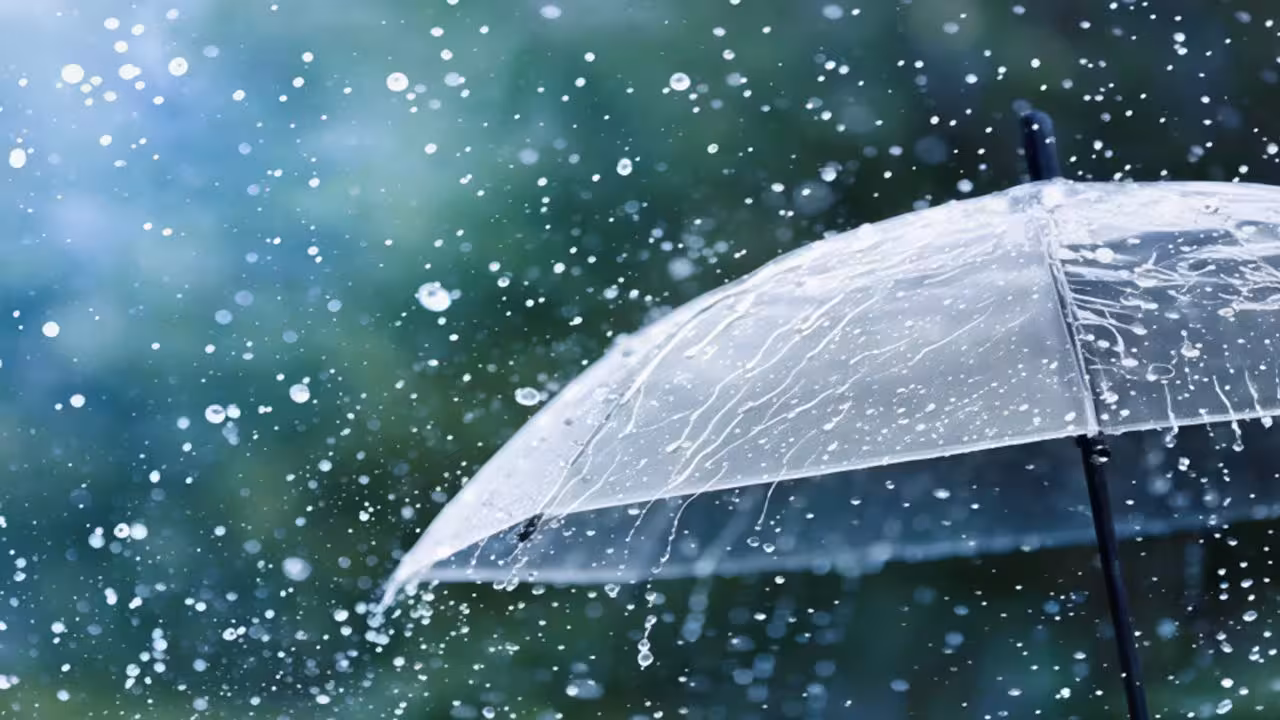 Rain Alert | నేడు ఈ జిల్లాల్లో భారీ వర్షాలు.. ఆరెంజ్ అలర్ట్ జారీ..
