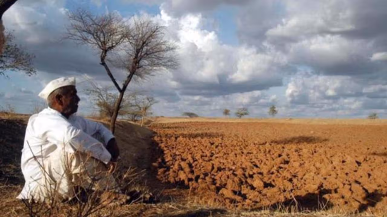 Heat-Drought | సంక్షోభం దిశగా ప్రపంచం.. 2090 నాటికి ప్రమాదంలో 260 కోట్ల మంది..!