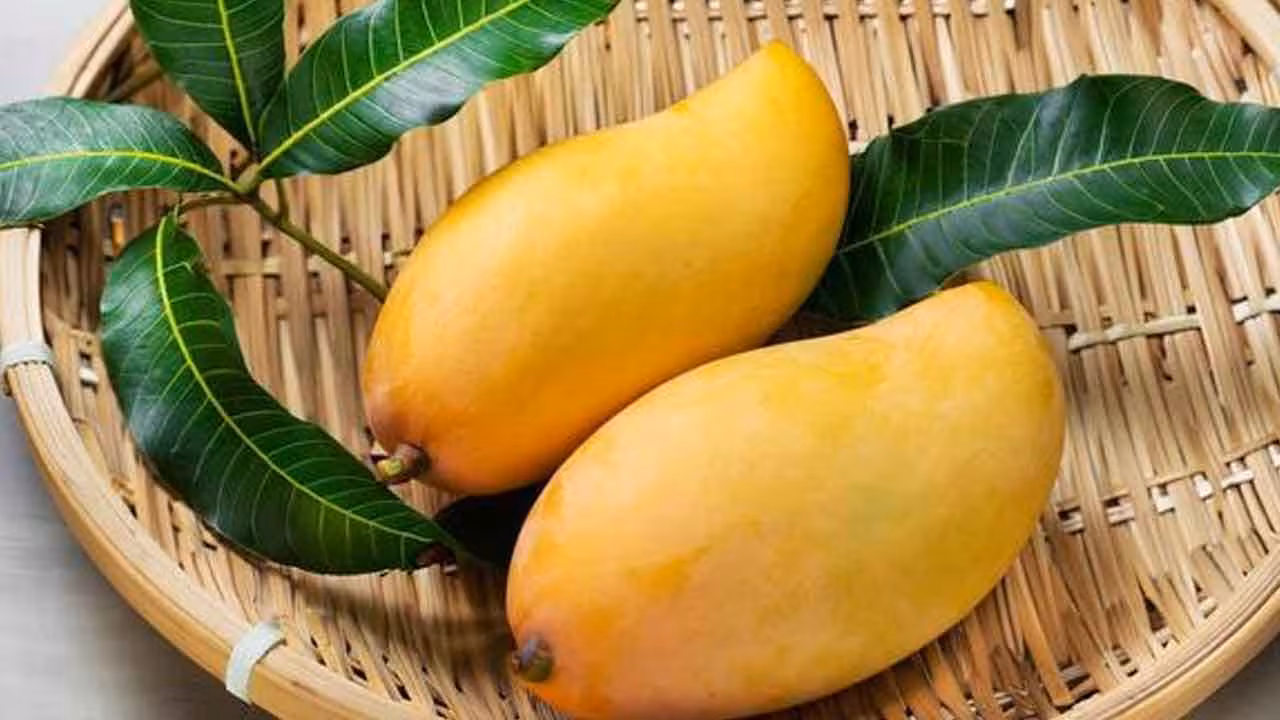 Mangoes | మామిడి పండును తింటే నిజంగానే బరువు పెరుగుతారా ? న్యూట్రిషనిస్ట్ క్లారిటీ..!