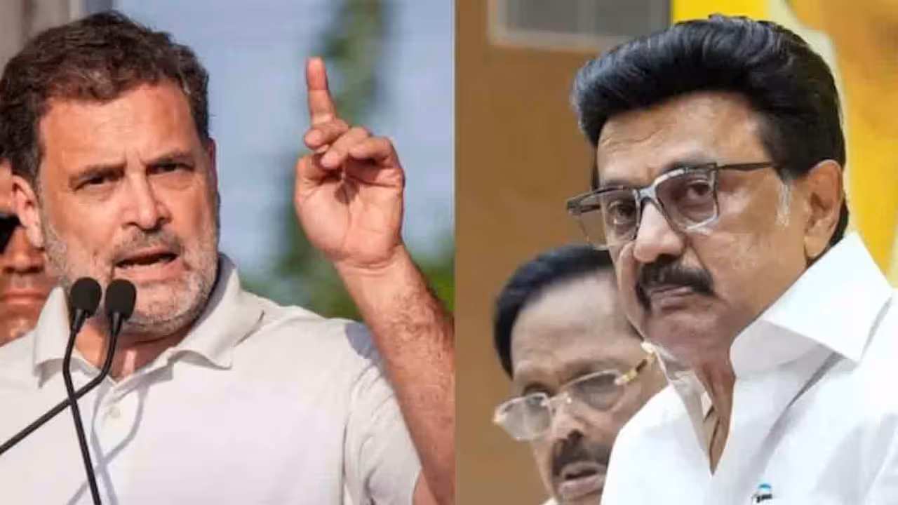 Rahul Gandhi | రాహుల్ ఓ పెద్ద జోక్.. ప్రతిపక్ష పార్టీల మధ్య చీలికకు ఆయనే కారణం.. కాంగ్రెస్ అగ్రనేతపై డీఎంకే విమర్శలు