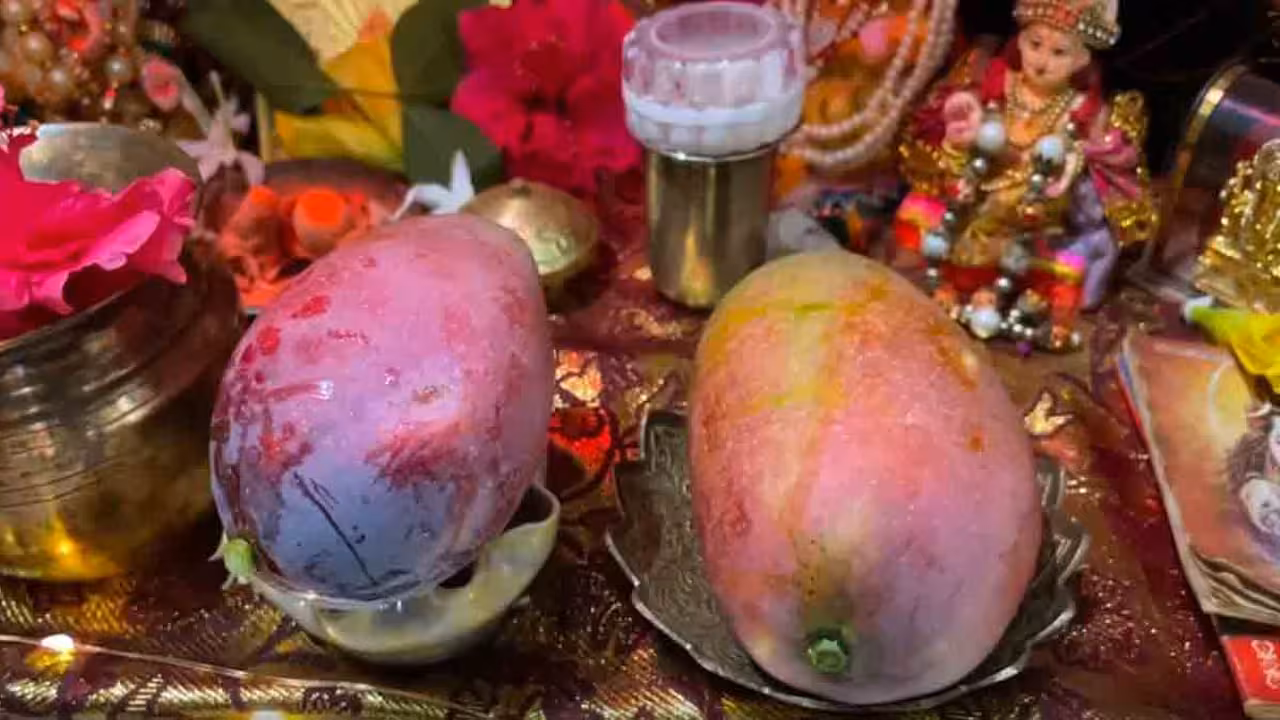 Miyazaki mango | అయోధ్య బాలరాముడికి నైవేద్యంగా ప్రపంచంలోనే అత్యంత ఖరీదైన మామిడి పండ్లు.. ఒక్కో పండు ధర రూ.లక్ష..!