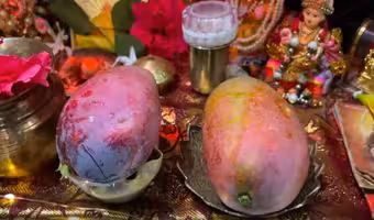 Miyazaki mango | అయోధ్య బాలరాముడికి నైవేద్యంగా ప్రపంచంలోనే అత్యంత ఖరీదైన మామిడి పండ్లు.. ఒక్కో పండు ధర రూ.లక్ష..!