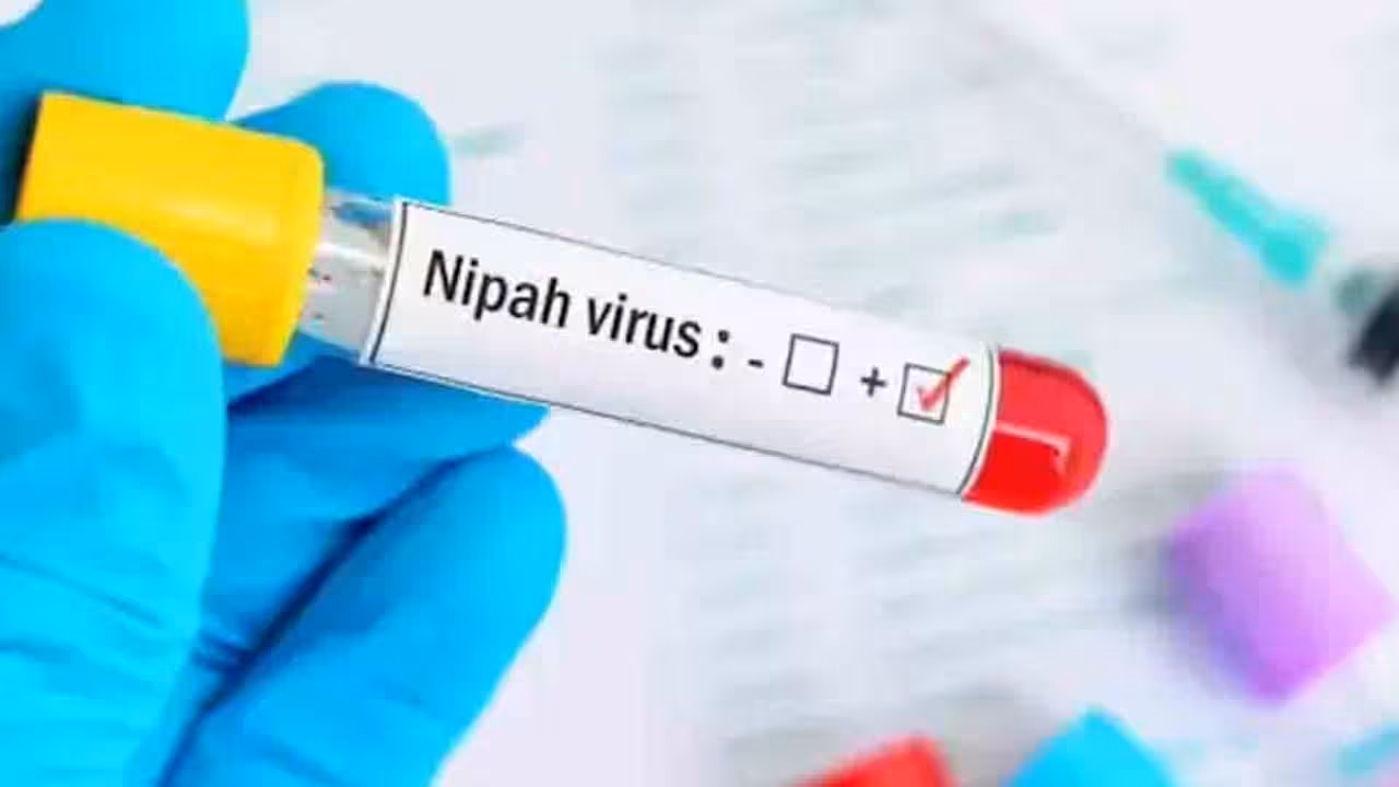 Nipah Virus | కేరళలో మరోసారి నిఫా వైరస్ కలకలం.. ఓ వ్యక్తికి పాజిటివ్