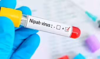 Nipah Virus | కేర‌ళ‌లో మ‌రోసారి నిఫా వైర‌స్ క‌ల‌క‌లం.. ఓ వ్య‌క్తికి పాజిటివ్‌