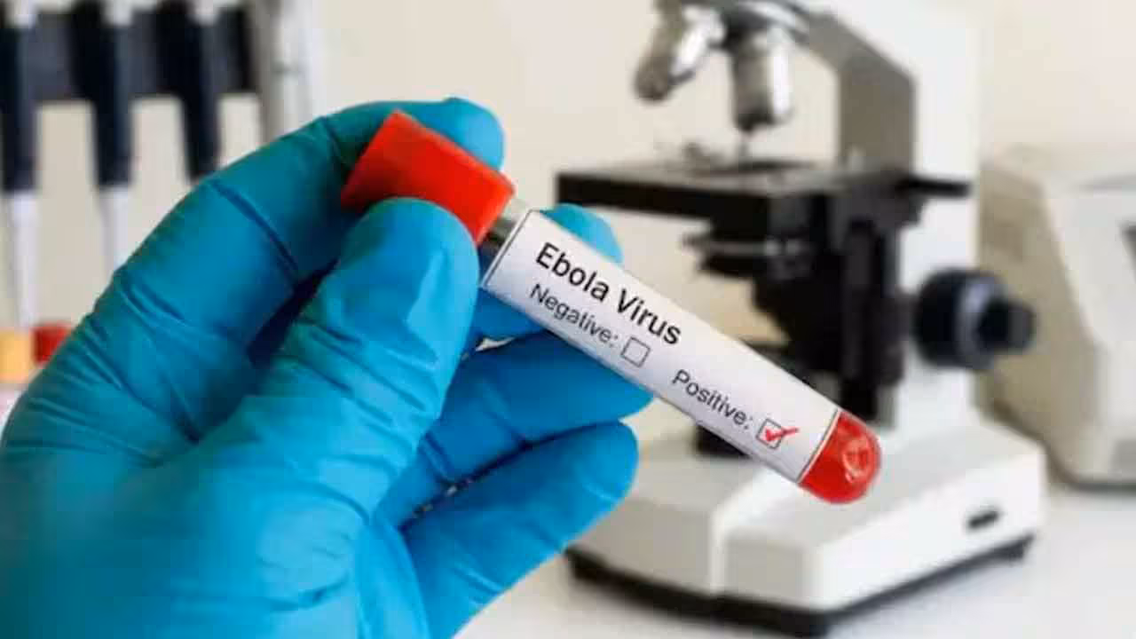Ebola | ఎబోలా కలకలం.. 550 కేసులు, 101 మరణాలు..