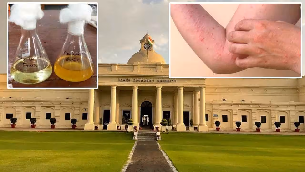 IIT Roorkee | చికున్గున్యాకు గోమూత్రంతో విజయవంతంగా చికిత్స.. వెల్లడించిన ఐఐటీ రూర్కీ..