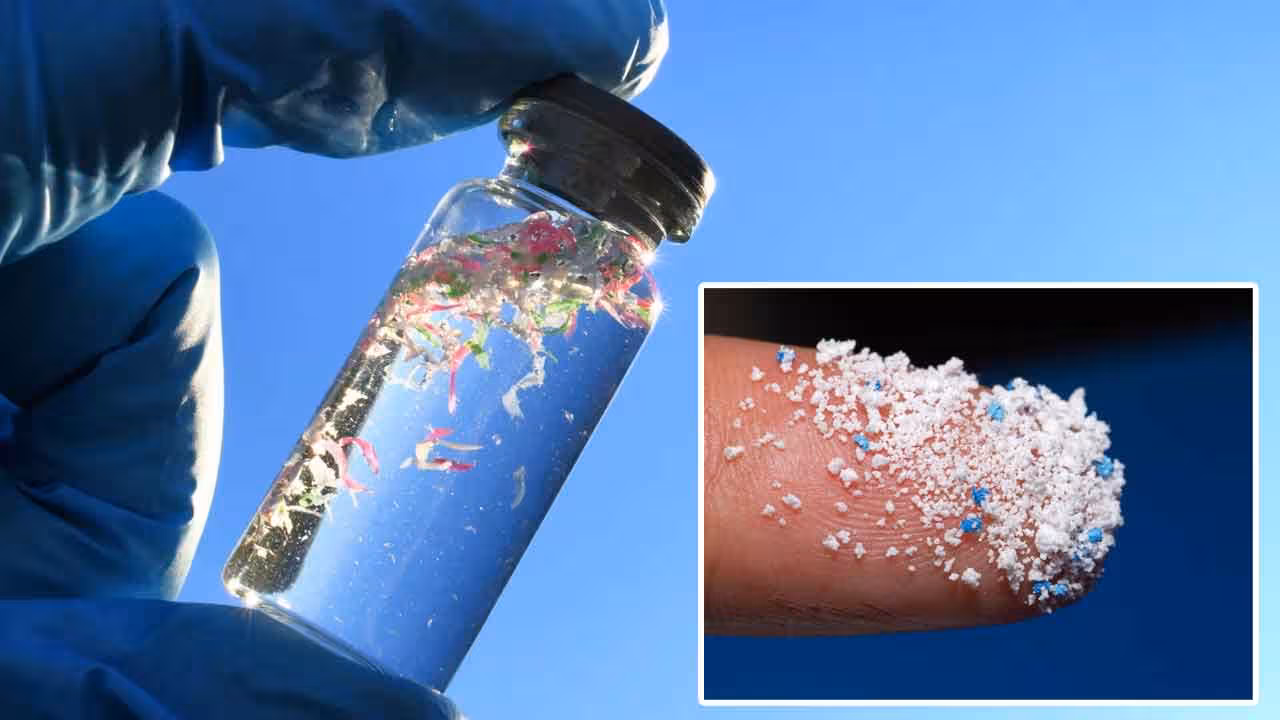 Micro Plastics | తాగునీటిలో మైక్రోప్లాస్టిక్స్.. ఆర్వో ప్యూరిఫైయర్స్ అవసరం అంటున్న నిపుణులు..