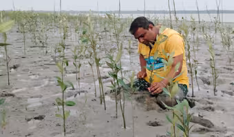 Green India Challenge | గ్రీన్ ఇండియా చాలెంజ్ స‌రికొత్త మైలురాయి.. సుందర్‌బన్ అడవుల్లో హరిత వికాసం