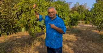 Urban Forest India | కాంక్రీట్ జంగల్లో 'పాకెట్ ఫారెస్ట్'.. 100 చదరపు అడుగుల స్థలంలో మీ ఇంట్లోనూ అడవిని సృష్టించొచ్చు!