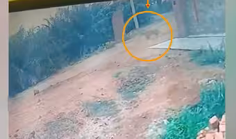 Leopard | ఖానాపురంలో చిరుతపులి సంచారం.. ఆందోళ‌న‌లో స్థానికులు
