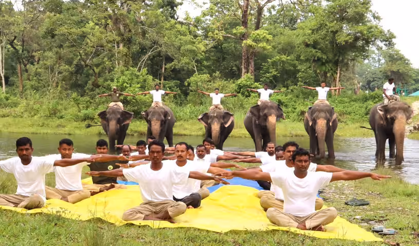 Yoga | యోగా వేడుకల్లో అటవీ సిబ్బంది.. ప్రత్యేక ఆకర్షణగా ఏనుగులు.. వీడియో