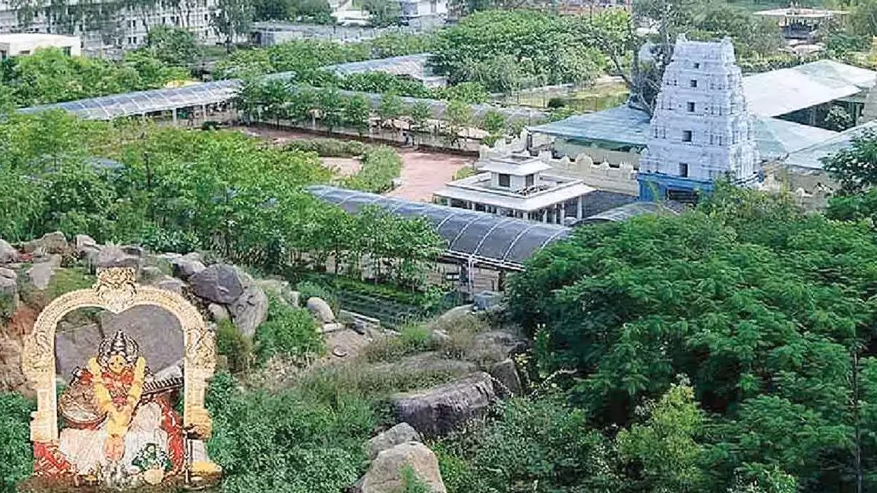 Basara Temple | బాలాలయంలో కొలువుదీరనున్న చదువుల తల్లి.. రేపటి నుంచి గర్భగుడిలో అమ్మవారి దర్శనాలు బంద్