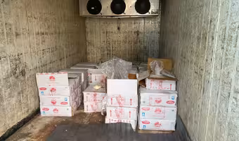 Food Safety | పాలకొవ్వు, తేమ శాతంతో.. అసలైన నెయ్యిని గుర్తు పట్టొచ్చు : ఫుడ్ సేఫ్టీ కమిషనర్ సంగీత సత్యనారాయణ