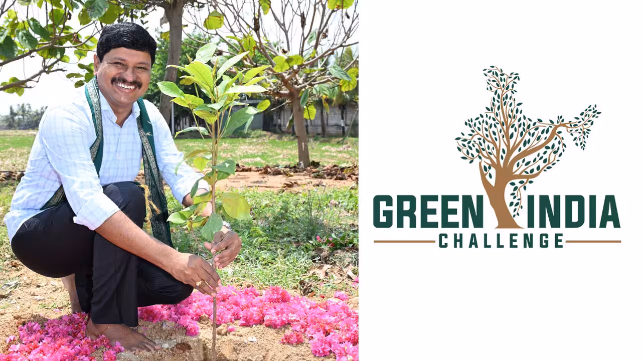 Green India Challenge | బాసర నుంచి త్రయంబకేశ్వర్ వరకు.. 99 లక్షల మొక్కలు