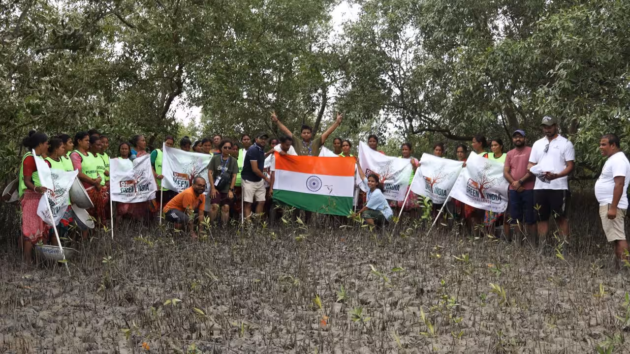Green India Challenge | మడ అడవుల్లో మరో 10వేల మొక్కలు.. సుందర్బన్స్కు అండగా గ్రీన్ ఇండియా చాలెంజ్