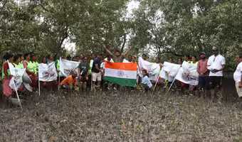 Green India Challenge | మడ అడవుల్లో మరో 10వేల మొక్కలు.. సుందర్బన్స్‌కు అండగా గ్రీన్ ఇండియా చాలెంజ్