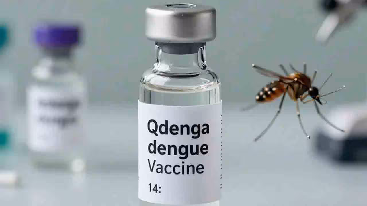 QDENGA | భారత్లో తొలి డెంగీ వ్యాక్సిన్.. క్యూడెంగాకు ఆమోదం