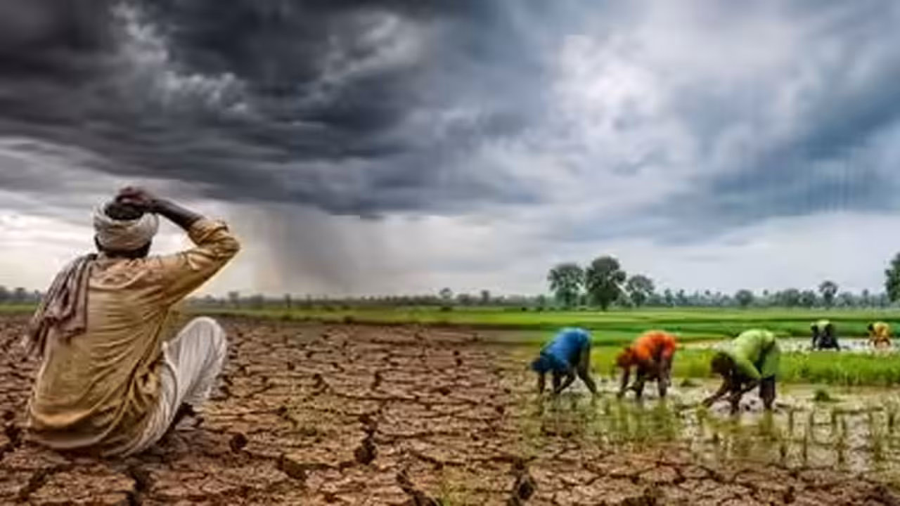 Telangana | మొహం చాటేసిన వరణుడు.. రాష్ట్రంలో 28 జిల్లాల్లో లోటు వర్షపాతం..