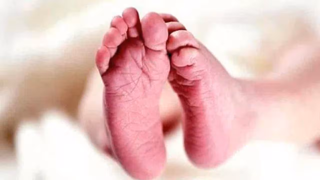 Infant | ఓఆర్ఆర్ సర్వీస్ రోడ్డులో నవజాత శిశువు లభ్యం