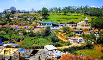 Kotagiri Hill Station | వర్షాకాలంలో ట్రిప్ ప్లాన్ చేస్తున్నారా? ఊటీ కంటే బెస్ట్ ప్లేస్ కోటగిరికి ఎందుకు వెళ్లాలంటే?