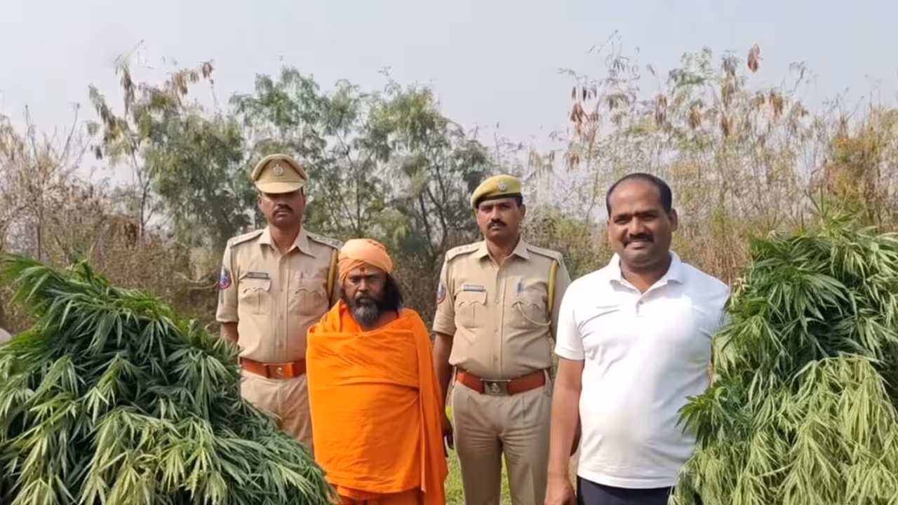 Ganja | ఆశ్రమంలో గంజాయి సాగుచేస్తున్న సాధువు.. ఆధ్యాత్మిక ముసుగులో అక్రమాలు..