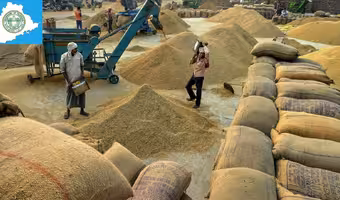 Telangana Paddy Procurement | రైతులకు భారీ ఊరట : అదనంగా వడ్లను కొనుగోలు చేస్తామన్న కేంద్రం