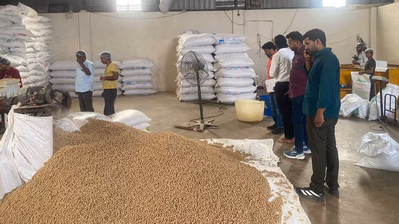 Soya Chunks | ఈగల ముసురులో మీల్ మేకర్ తయారీ.. తింటే ఆస్పత్రి పాలే..!