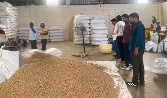 Soya Chunks | ఈగల ముసురులో మీల్ మేకర్ తయారీ.. తింటే ఆస్పత్రి పాలే..!