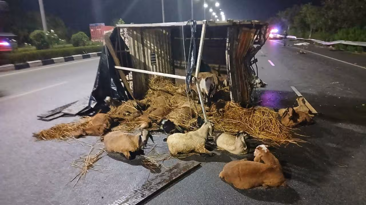Road Accident | గొర్రెల వ్యాన్ను ఢీకొట్టిన గుర్తు తెలియని వాహనం.. ఇద్దరు మృతి