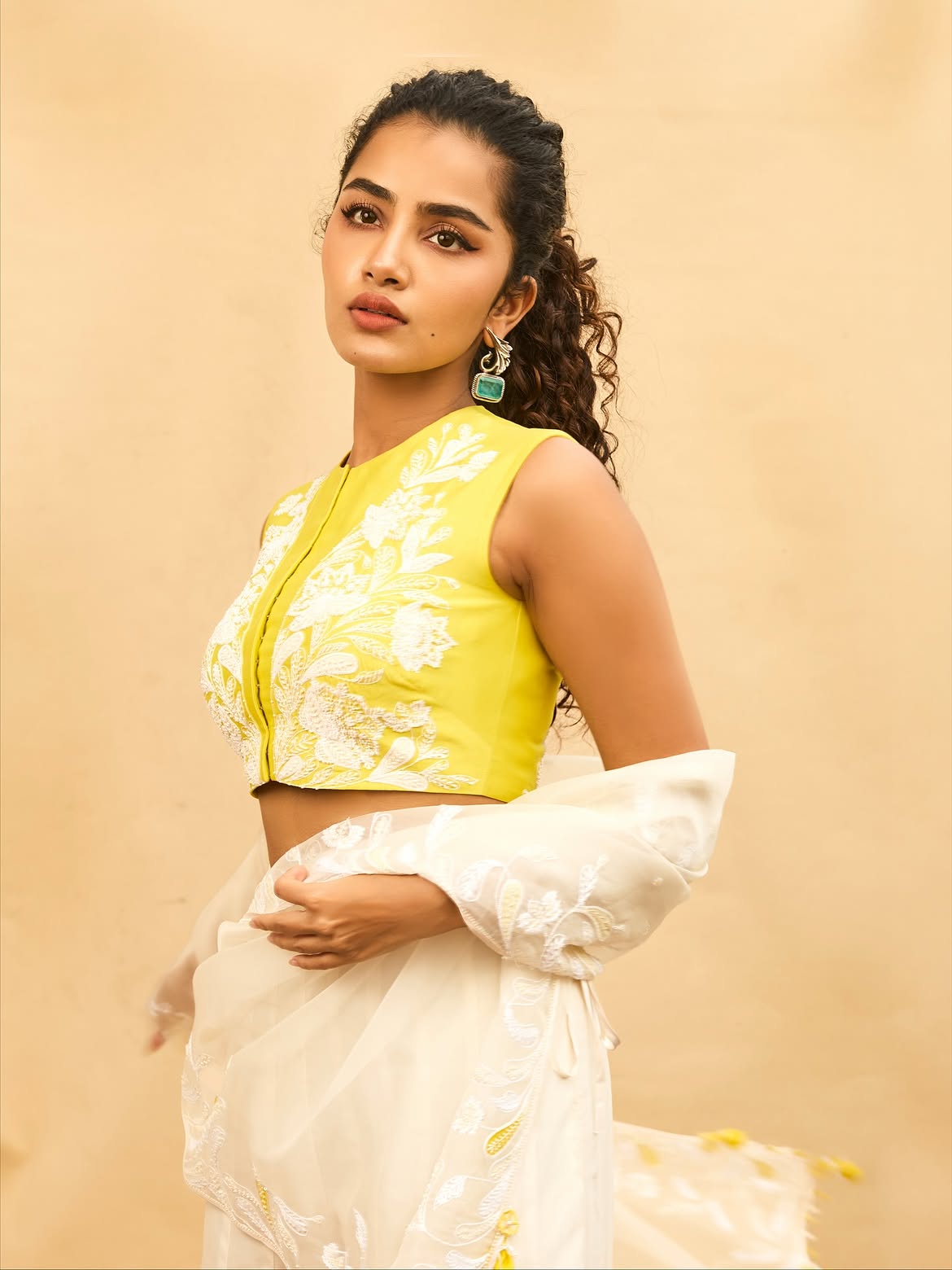 బ్రేకప్ బాధ నుంచి ఇప్పుడిప్పుడే బయటపడుతోన్న అనుపమ తిరిగి కెరీర్పై ఫోకస్ పెట్టింది. ప్రస్తుతం తెలుగులో రెండు సినిమాలు చేస్తోంది.