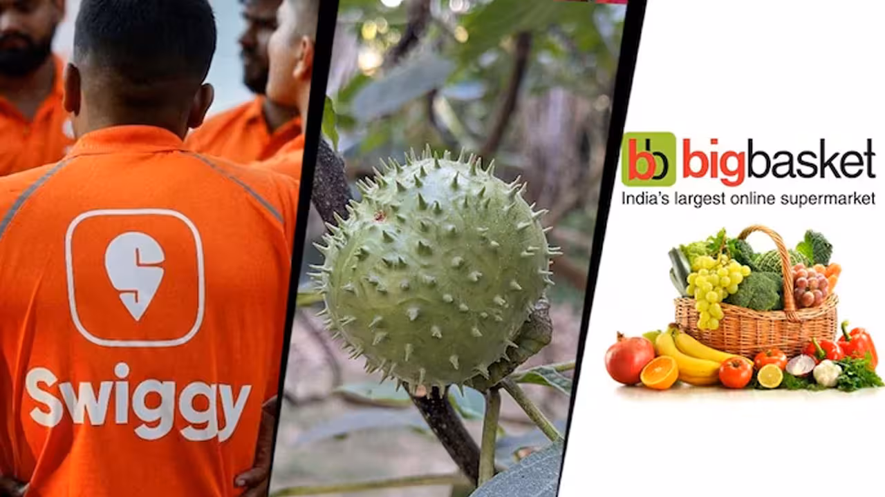Dhatura | ఆన్లైన్లో ఉమ్మెత్త పండ్లు, విత్తనాలు.. అమెజాన్, స్విగ్గీ, బిగ్బాస్కెట్ లైసెన్సులు రద్దు