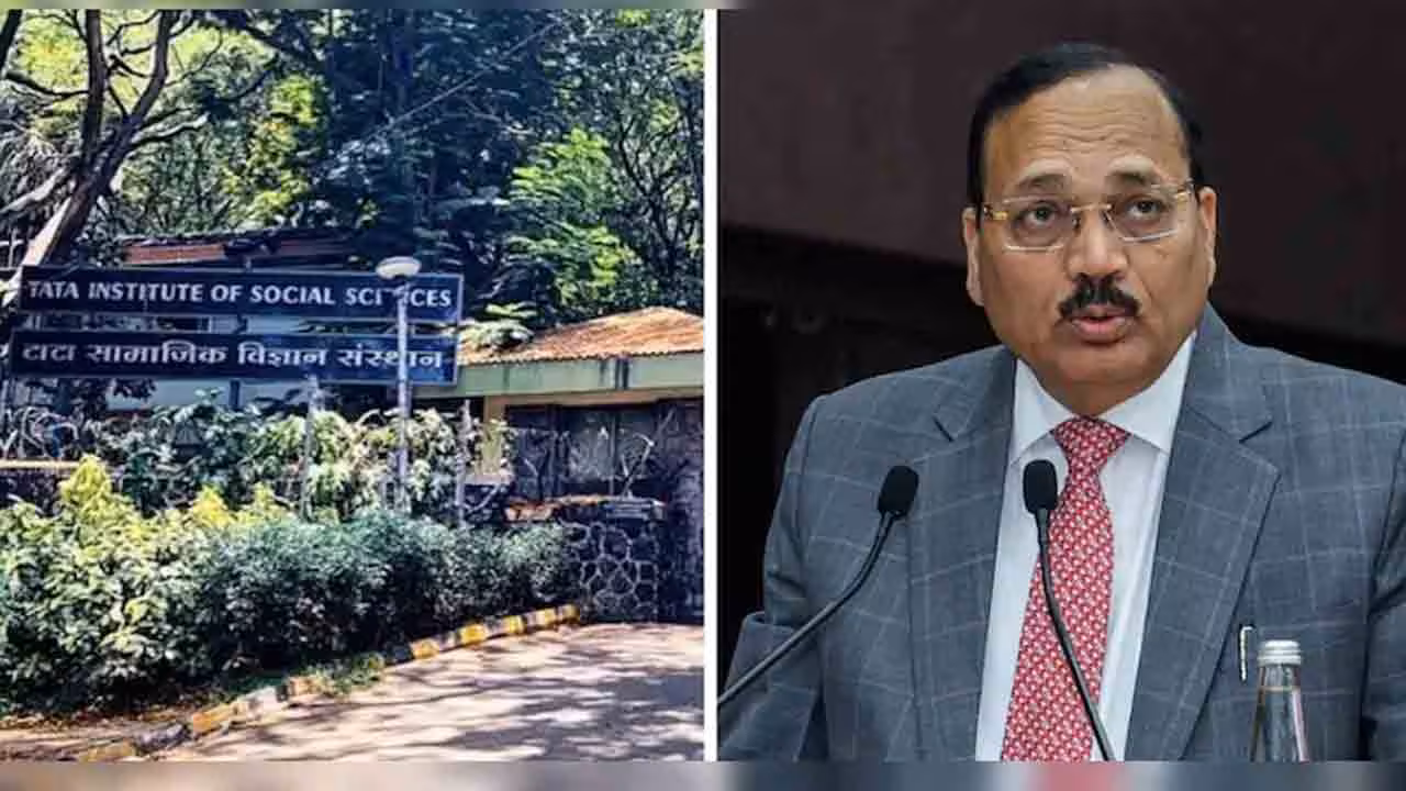TISS | కాక్రోచ్ల భయం.. సీజేఐ పాల్గొనాల్సిన స్నాతకోత్సవాన్ని చివరి నిమిషంలో వాయిదా వేసిన టిస్