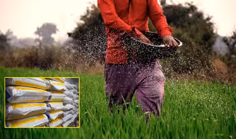 Fertilizer | తెలంగాణలో ఎరువుల కొరత లేదు.. వెల్లడించిన కేంద్ర ప్రభుత్వం