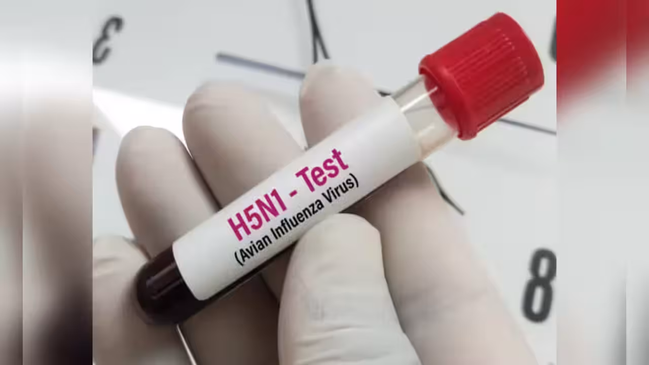 H1N1 | హెచ్1ఎన్1పై ఆందోళన వద్దు.. ఐసీఎంఆర్ క్లారిటీ..!