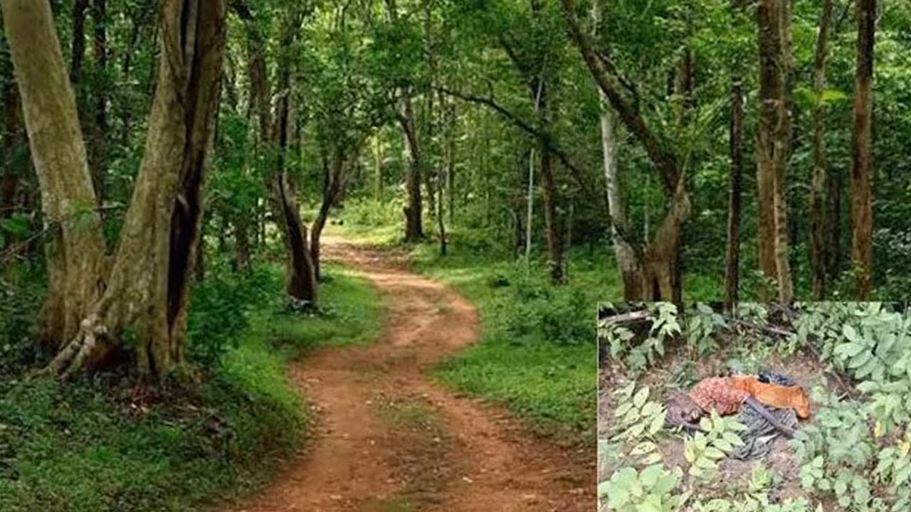 Forest | హెచ్ఐవీ సోకిందని మహిళను అడవిలో వదిలేశారు..