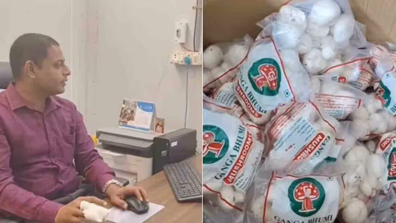 Mushroom Farming | 14 ఏళ్ల ఐటీ కెరీర్ను వదిలి.. వ్యవసాయంవైపు అడుగులు.. కట్ చేస్తూ పుట్టగొడుగుల వ్యాపారంతో నెలకు రూ.10 లక్షల లాభం