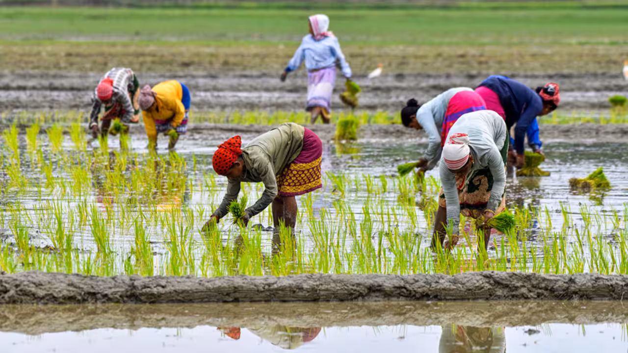 PM KISAN | ప్రధాన్ మంత్రి కిసాన్ సమ్మాన్ నిధి మరో ఐదేండ్లు పొడిగింపు..