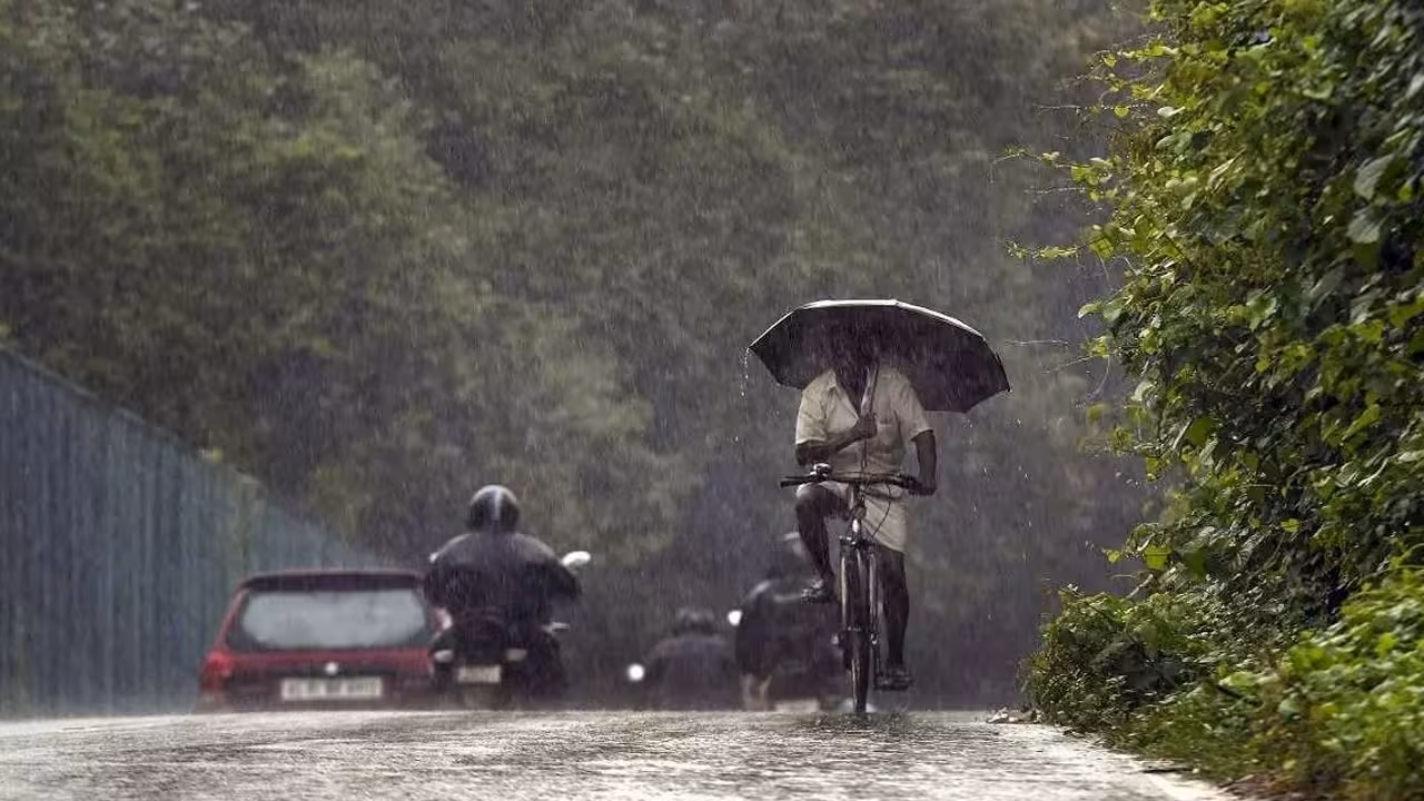 Heavy Rain Alert | నేడు ఈ జిల్లాల్లో భారీ వర్షాలు.. ఎల్లో అలర్ట్ జారీ