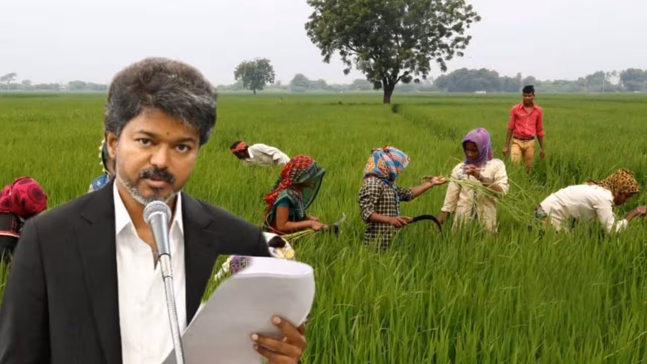 Tamil Nadu | తమిళనాడు రైతులకు విజయ్ గుడ్న్యూస్.. రూ.75వేల దాకా పంట రుణాలమాఫీ