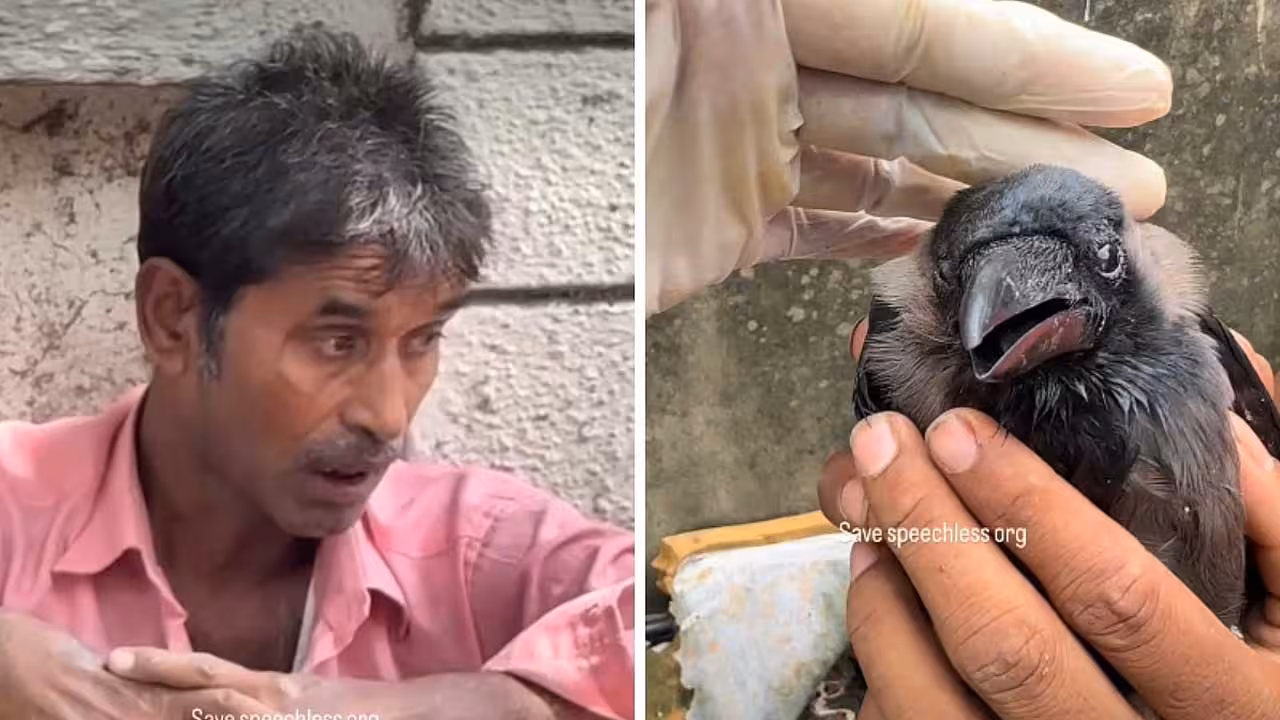Crow | వీడేం మనిషిరా బాబూ.. మద్యం మత్తులో కాకిని తినేందుకు యత్నం..