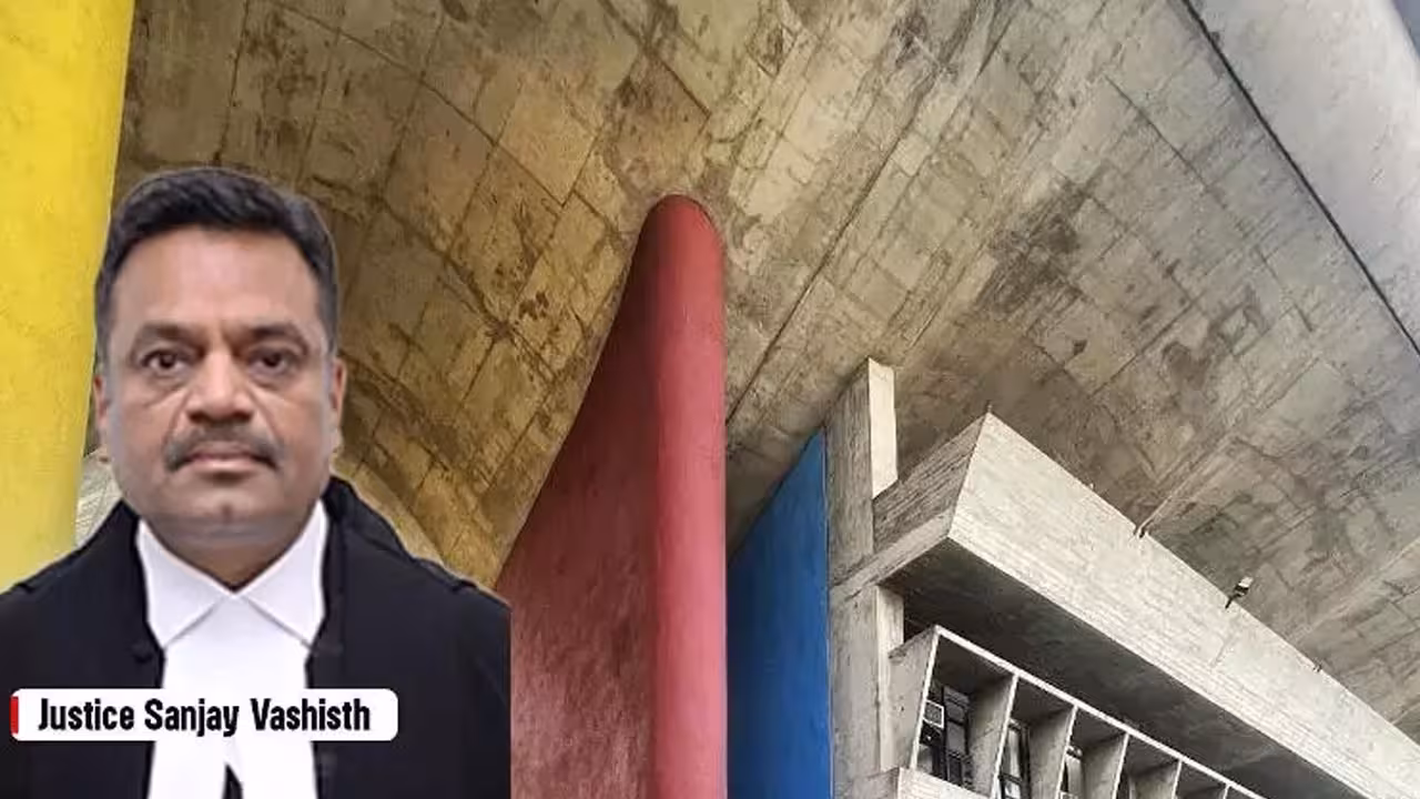 Punjab Haryana High Court | భార్యపై దాడి చేసిన భర్తకు బెయిల్ ఇచ్చి.. ఊహించని షరతు విధించిన హైకోర్టు!