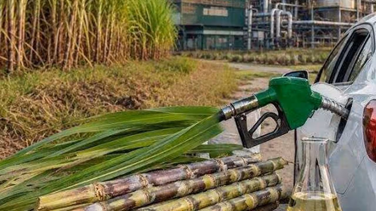 Ethanol | చక్కెర ధర పెరుగుదలను ఇథనాల్తో ముడిపెట్టొద్దు: నిపుణులు