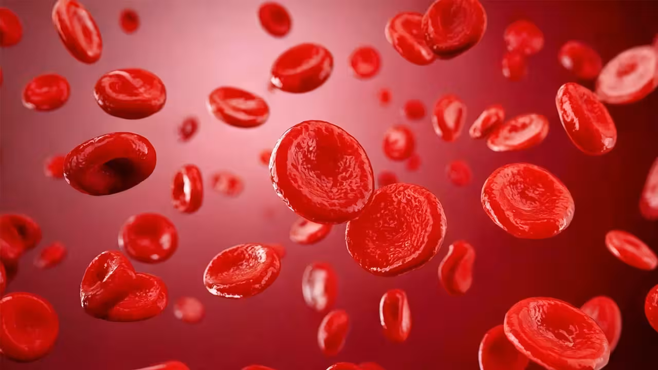 New Blood Group Jama | మరో కొత్త బ్లడ్గ్రూప్.. ‘జమా’!