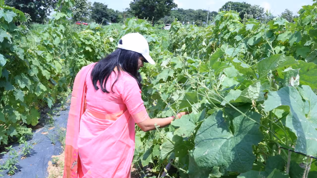 Sircilla | ప్రత్యామ్నాయ పంటలతో నిరంతర ఆదాయం : కలెక్టర్ గరిమ అగ్రవాల్