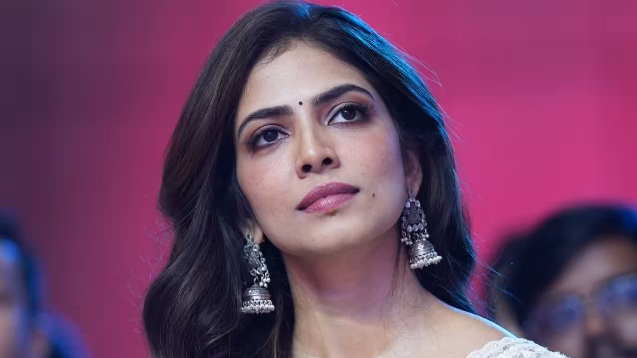 Malavika Mohanan | మాళవికకు వరుస ఫ్లాపులు.. ఈ ఏడాది కలిసిరాని భారీ బడ్జెట్ సినిమాలు..!