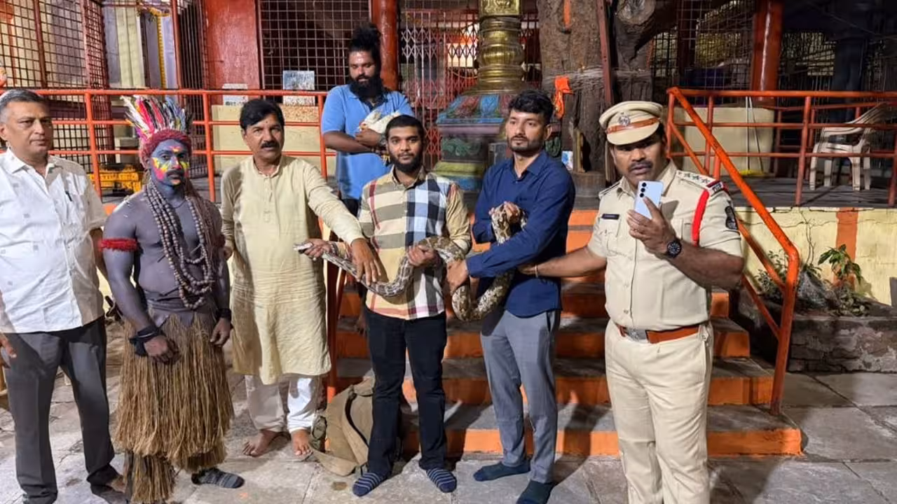 Indian Rock Python | కొండ చిలువతో డ్యాన్స్.. గణేష్ నిమజ్జన వేడుకల్లో విశాఖ డ్యాన్స్ టీమ్ హంగామా.. వీడియో