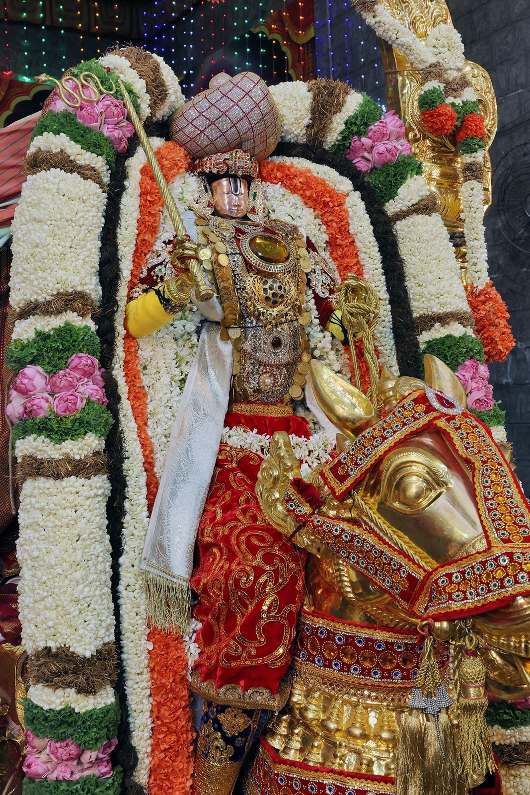 Brahmotsavam 2026 | రథంపై రాజసం.. అశ్వంపై దివ్య తేజం.. కనులపండువగా వెంకన్న బ్రహ్మోత్సవం.. - Image 10