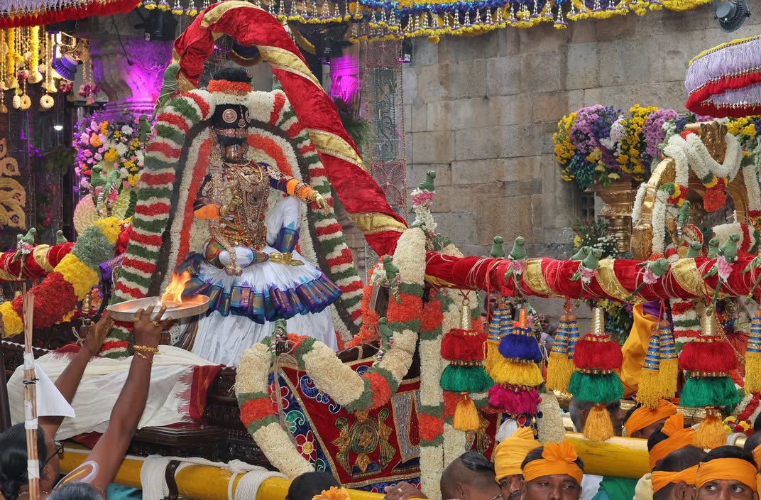 Tirumala Brahmotsavam 2026 | మోహినీ రూపంలో మలయప్ప.. మంత్రముగ్ధులైన భక్తజనం..! ఫొటో గ్యాలరీ - Image 37