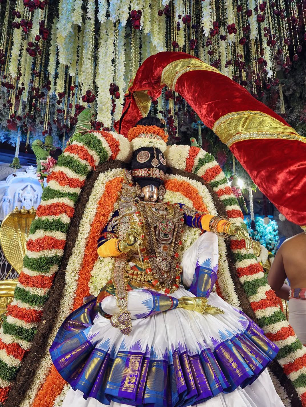 Tirumala Brahmotsavam 2026 | మోహినీ రూపంలో మలయప్ప.. మంత్రముగ్ధులైన భక్తజనం..! ఫొటో గ్యాలరీ - Image 13