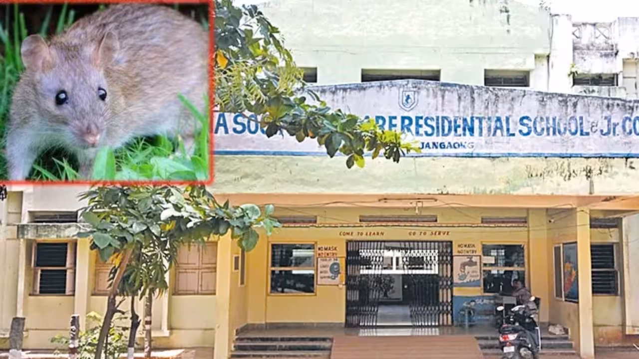 Rats Bit Female Students | గురుకుల పాఠశాలలో దారుణం.. 14 మంది విద్యార్థినులను కరిచిన ఎలుకలు